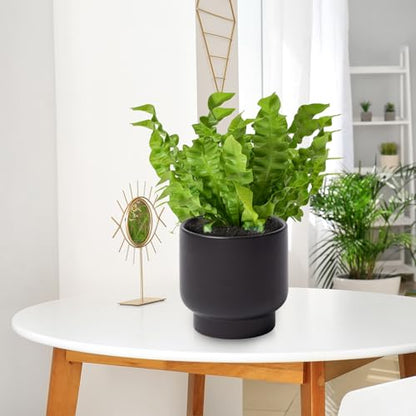 Black Ceramic Planter - Succulent Flower Small Plant Pots, Pot for Indoor Outdoor Garden Plants with Drainage Holes - Plants Not Included 4.33 X4.33 Inch - color: Black