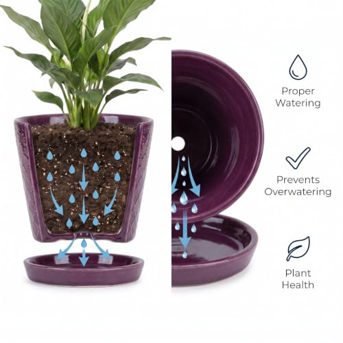 EFISPSS Ceramic Plant Pots, 5 Inch Planters with Drainage Holes and Ceramic Tray, Relief Design Flower Planter, Desktop Office Windowsill Decoration Gift Set of 4 - Plum - color: Plum