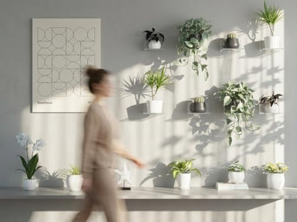 Small Wall Shelf, Acrylic Wall Shelves Display Ledges for Storage & Decoration, Small Floating Shelf for Wall (3)