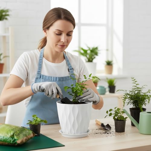 8 Inch Plant Pots Plastic Planters with Drainage Holes & Saucer, 6 Pack - color: White 8 Inch