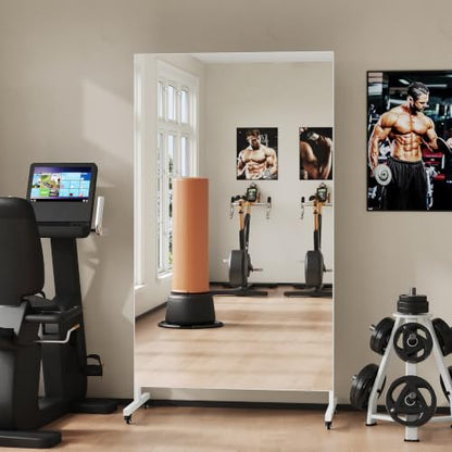 Hasipu 67" x 40" Home Gym Mirror 360° Swivel on Wheels - size: 66.9"L x 39.4"W