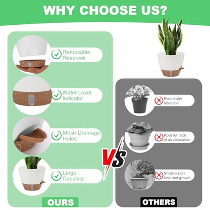 Self Watering Planter Set with Visual Water Level, 6Pack Small Plastic Pot with Drainage Holes and Reservoir Saucers, Modern 8+7+6.5+6+5.5+5 Inch Bottom Watering Flower Pots for Indoor Plant - Green - color: Green-small