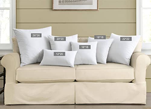 puredown® Feather Throw Pillow Inserts 22 x 22 (Pack of 2, White), Big Throw Pillows for Floor, Couch, Bed, Machine Washable - size: 22x22 Inch