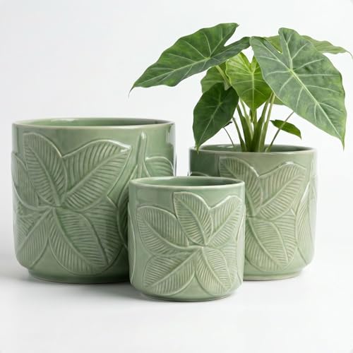 Ceramic Pots for Plants Set of 3, 6, 5, 4 Inch Diameter with Drainage Holes