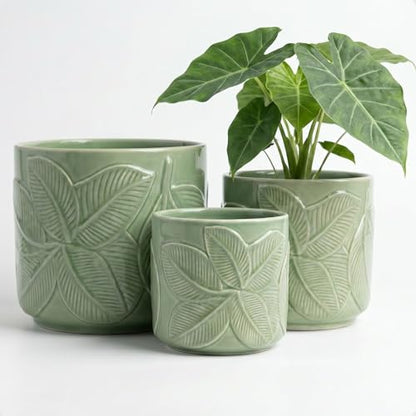 Ceramic Pots for Plants Set of 3, 6, 5, 4 Inch Diameter with Drainage Holes