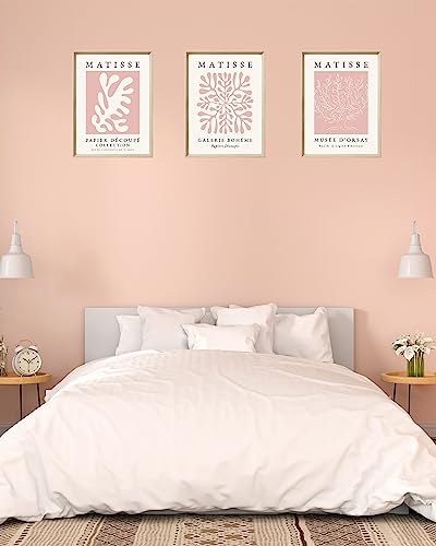 Framed Matisse Pink Wall Art Set of 3, Abstract Canvas Prints - color: Framed Matisse Pink, size: 16"L x 12"W