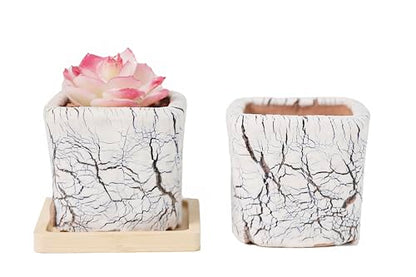 Ceramic Planter Pots w/Drainage, 3 Inch Set of 2, Indoor Outdoor Home Patio Garden Plants Flower Succulent, Crackle-Texture Square - style: Crackle-Texture Square-3" (2 pack)