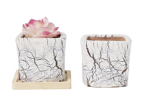 Ceramic Planter Pots w/Drainage, 3 Inch Set of 2, Indoor Outdoor Home Patio Garden Plants Flower Succulent, Crackle-Texture Square - style: Crackle-Texture Square-3" (2 pack)