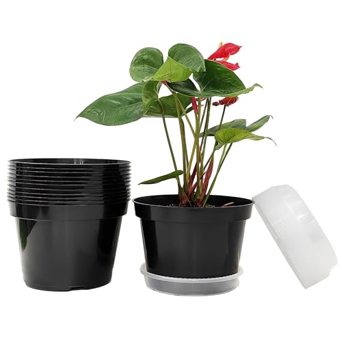 RooTrimmer 12 Pack Plant Pots, 8 Inch Plant Planter with Clear Saucer, Plastic Pots for Plants Indoor and Out Door Such as Strawberry, Herb and Flowers (Black) - color: Black, size: 8 Inch 12 Pack