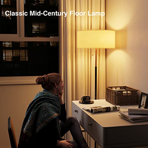 2-Light 3 Color Temperature Mid Century Floor Lamp for Living Room - color: Black & Glod