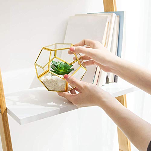 Mkono 3 Pack Fake Succulents in Geometric Glass Terrarium Gold Office Decor - color: Gold,green,clear
