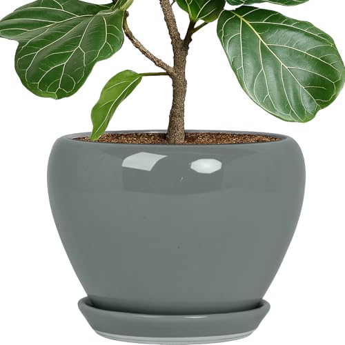 Deep Dream 10 Inch Plant Pot- Ceramic Planter Pot Round Plant Pots for Indoor Plants Outdoor Large Flower Pot with Drainage Holes & Trays, Grey - color: Gray, size: 10 Inch