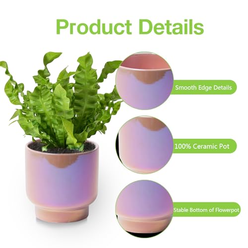Pink Ceramic Plant Pots - Succulent Flower Small Planter, Pot for Indoor Outdoor Garden Plants with Drainage Holes - Plants Not Included 4.33 X4.33 Inch - color: Pink Gradient
