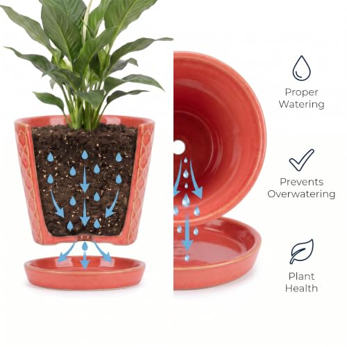 EFISPSS Ceramic Plant Pots, 5 Inch Planters with Drainage Holes and Ceramic Tray, Relief Design Flower Planter, Desktop Office Windowsill Decoration Gift Set of 4 - Magenta - color: Magenta