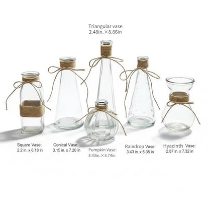 Glass Bud Vases Set of 6 for Flowers, Clear Small Vases with Jute Rope