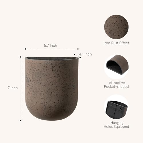 LA JOLIE MUSE Wall Planters for Indoor Plants, Hanging Flower Pots, 2 Pack - color: Iron