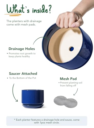 LE TAUCI Ceramic Pots for Plants, 4.3+5.3+6.8 Inch, Set of 3, Sapphire Blue - color: Sapphire Blue, size: 4.3"+5.3"+6.8"