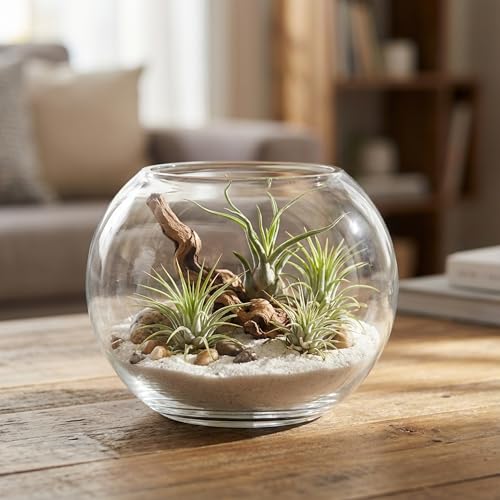 WGV Bowl Glass Vase, Diameter 5.1", Height 3.75", Open Width 3", (Multiple Sizes Choices) Clear Bubble Planter Terrarium Fish Bowl for Wedding Event Home Decor, 1 Piece (VBW0005) - size: 5"Dx3.75"H 1 Piece