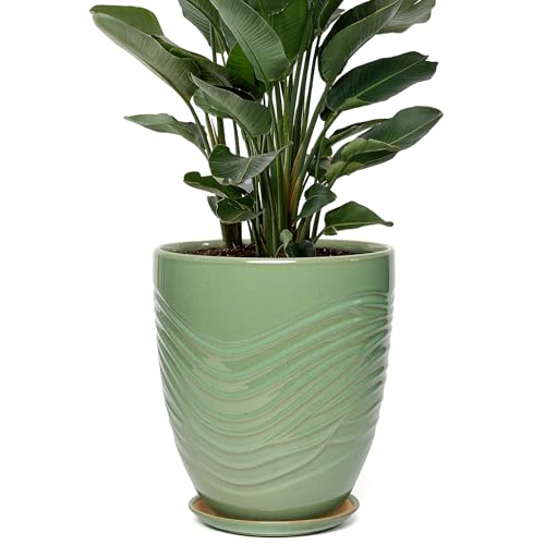 9.5 Inch Modern Ceramic Plant Pot with Saucer, Flower Pot with Drainage Hole Mesh Net,Indoor Outdoor Planter (Crackle-Green) - color: Crackle-green, size: 9.5 Inch