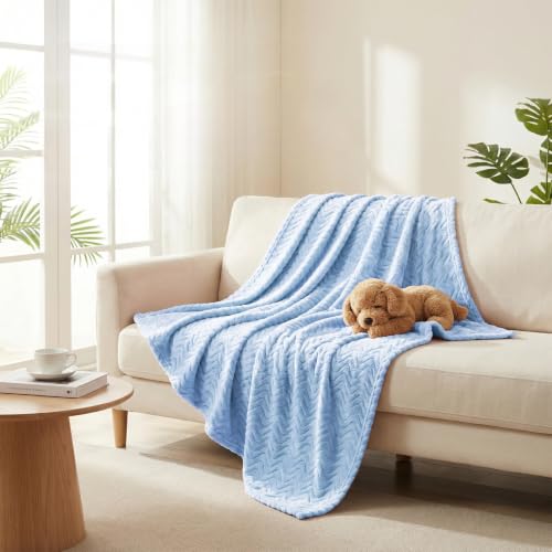 Exclusivo Mezcla Large Fleece Throw Blanket for Couch, Sofa, Light Blue - color: Light Blue, size: Throw ( 50x70 IN )