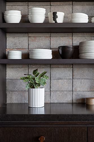 Veradek Demi Series Demi 6" Planter w/Tray, White - color: White, size: 6 inch