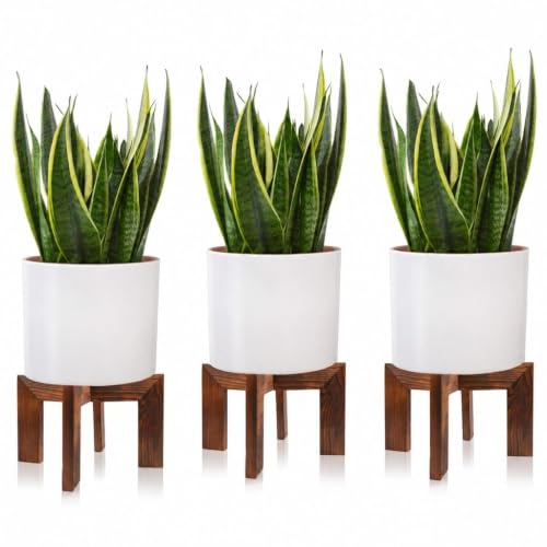 Gendral Forwepup 3 Pack wood Plant stand, Mid Century Modern Planter Stand Rattan Flower Pot Stand, Low Short Plant Stands Indoor - Boho Rustic Wooden Stool for Plant Pot Holder, Fit 5-15 Inch Pot - color: 3 Pack Wood Grain