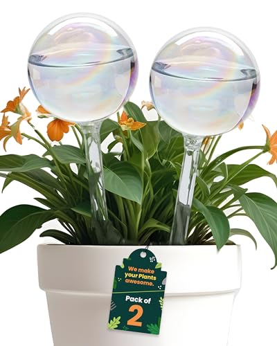 Iridescent Self Watering Globes, Glass Rainbow Plant Watering Globes, Self Watering Planter Insert, Automatic Plant Waterer Indoor (Medium-2 Pcs Iridescent, Medium) - color: Medium - 2 Pcs (Pack of 1)