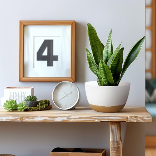 Koalaime 8/10/12 Inch Pots for Indoor Plants, Large Self Watering Planters with Drainage and Saucers, Plastic Outdoor Flower Pot, Set of 3, White - color: White
