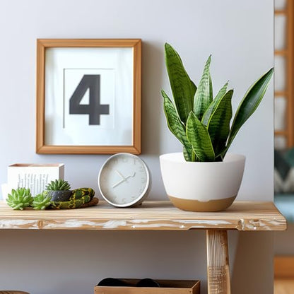 Koalaime 8/10/12 Inch Pots for Indoor Plants, Large Self Watering Planters with Drainage and Saucers, Plastic Outdoor Flower Pot, Set of 3, White - color: White