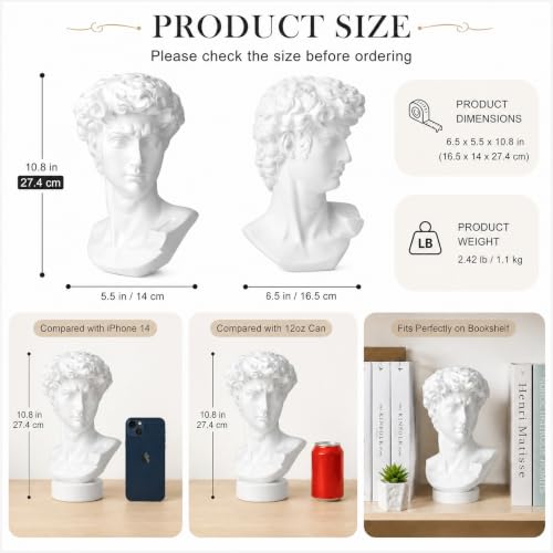Norrclp 11in Greek Statue of David, Classic Roman Head Bust - color: David-11in