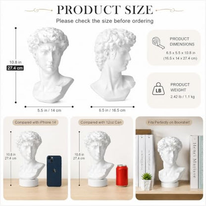 Norrclp 11in Greek Statue of David, Classic Roman Head Bust - color: David-11in