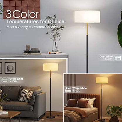 2-Light 3 Color Temperature Mid Century Floor Lamp for Living Room - color: Black & Glod