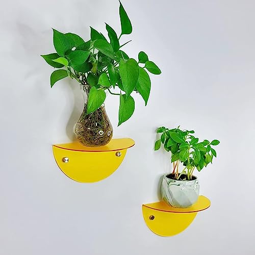 ROYALITA 2-Pack Small Acrylic Shelves Room Decor Floating Shelves, Yellow - color: Yellow