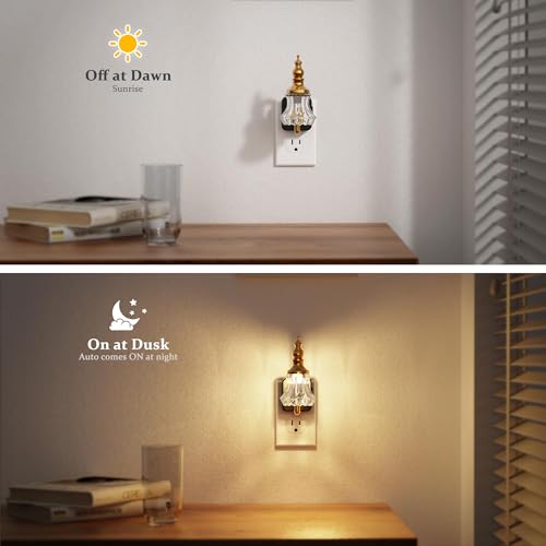JandCase Night Light, Night Lights Plug into Wall, Glass Flower Nightlight - color: Flower