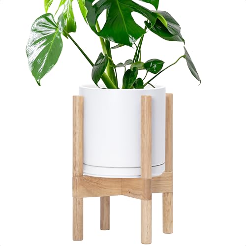 D'vine Dev Ceramic Pot with Natural Wood Stand, White, 8 in, 55-B-N-1 - color: White Pot + Natural Stand, size: 8 Inch