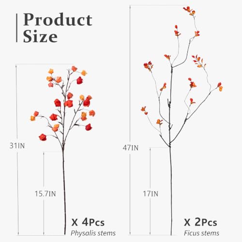 Fall Physalis Branches - 37" Faux Red Berry Stems, fake Flowers for Vase - color: 4pcs Physalis + 2pcs Ficus