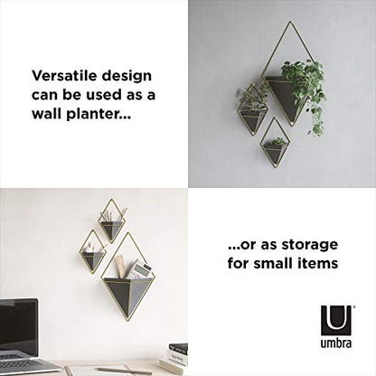 Umbra Trigg Wall Display, Large Geometric Planter Vessel, Black/Brass - color: Black/Brass, size: Large