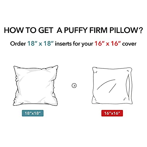 Oubonun Waterproof Outdoor Pillow Inserts 18 x 18 Set of 2, Square Pillows - size: 18 x 18 (Pack of 2)
