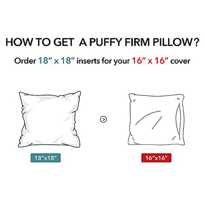 Oubonun Waterproof Outdoor Pillow Inserts 18 x 18 Set of 2, Square Pillows - size: 18 x 18 (Pack of 2)