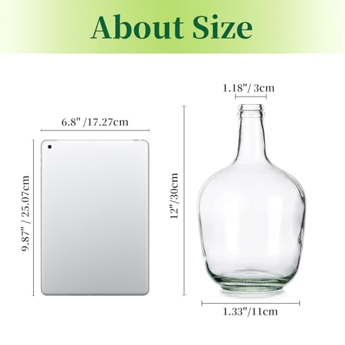 Hewory Large Glass Jug Vase: 12" Clear Tall Farmhouse Decorative Floor Vase - size: 12in