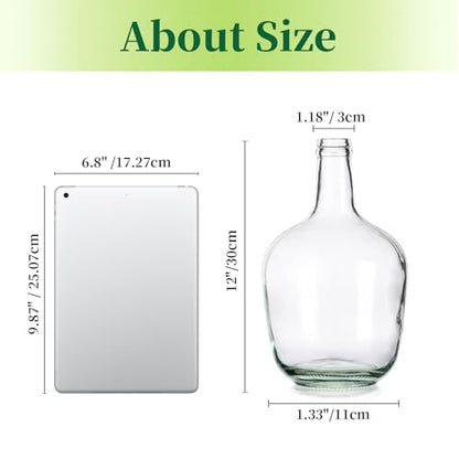 Hewory Large Glass Jug Vase: 12" Clear Tall Farmhouse Decorative Floor Vase - size: 12in