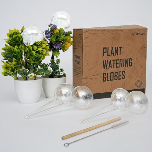 Iridescent Self Watering Globes, Glass Rainbow Plant Watering Globes, Self Watering Planter Insert, Automatic Plant Waterer Indoor (Medium-6 Pcs Iridescent, Medium) - color: Medium - 6 Pcs (Pack of 1)
