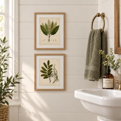 Vintage Botanical Wall Art, Set of 4 Unframed 8x10 Fern Prints