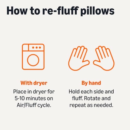 Amazon Basics Throw Pillow Insert, Down Alternative Fiberfill, Hypoallergenic, Machine Washable, 20 Inch, 2-Pack, for Sofa Bed Couch - size: 20 x 20 inches, style: 2 Pack