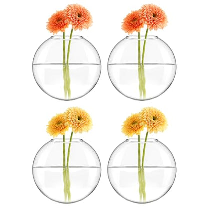 Mkono Wall Propagation Planters, 4 Pack Oblate Hanging Plant Holder Vase