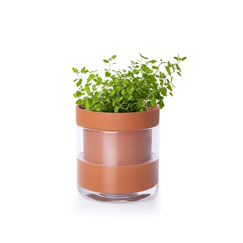 Phoenix Vine 4 Inch Self Watering Planter Pot, Terracotta Clay Pot with Glass Reservoir for Indoor Plants, Herbs, Flowers, Set of 1, 52-A-E-1 - color: Terracotta, size: 4" (1 Pack)