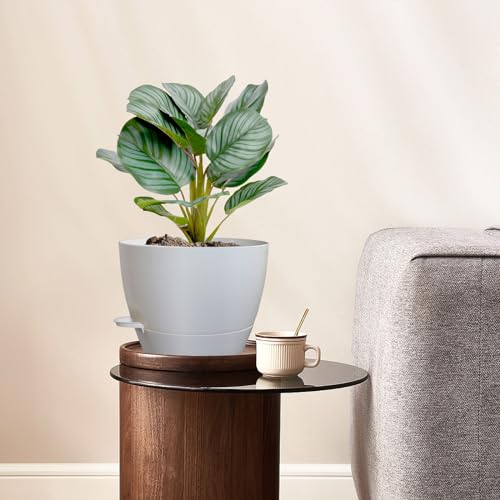 WSMKSZ 10 inch Self Watering Pots, 2 Pack Plastic Planters with Mesh Drainage Holes for Garden Plants and Flower, Plants Pots with Deep Reservoir for Indoor Outdoor Plants, White - color: White, size: 10inch 2pcs