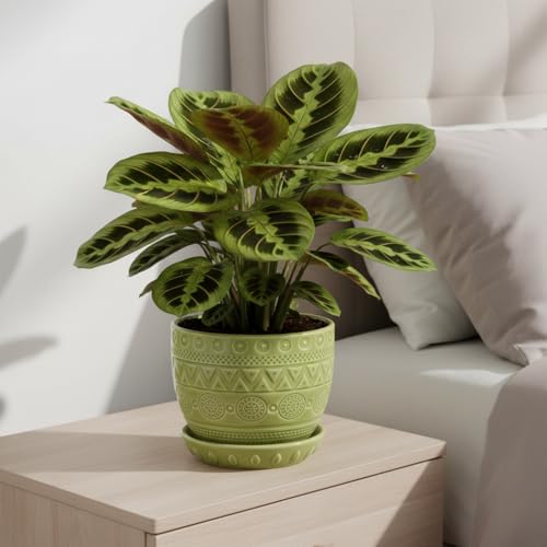 G EPGardening Ceramic Plant Pot, 5.5 Inch, Green - color: Triangle Green