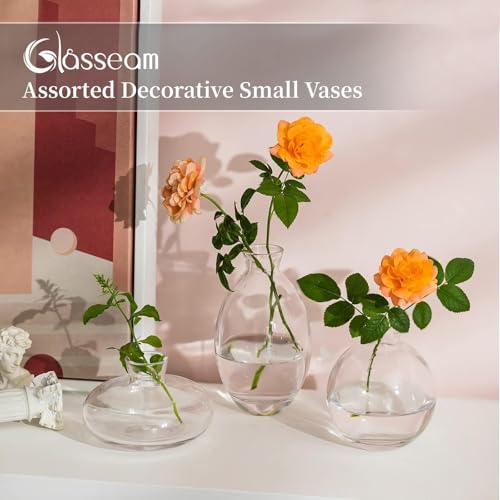 Glasseam Glass Bud Vase for Centerpieces, 6Pcs Clear Small Flower Vase Set - color: Clear, size: 2 Sets
