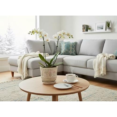 Gepege Ceramic Plant Pots, 6 Inch Indoor Planters with Drainage & Saucers - color: White-b, size: 6 Inch - Set of 2